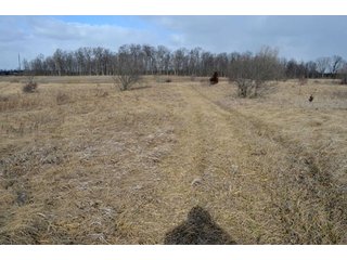 Property photo 32 - 127 Acres Offered in 8 Tracts - Allen & Dekalb County Land